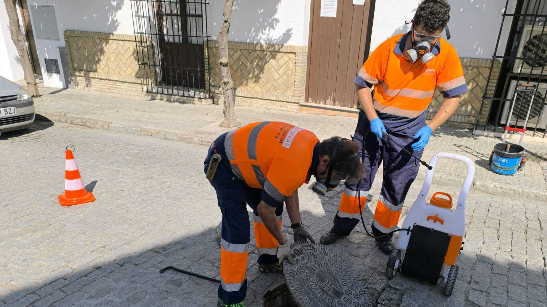 El Ayuntamiento de Lebrija continúa con las labores preventivas de desinsectación y desratización en la red de saneamiento