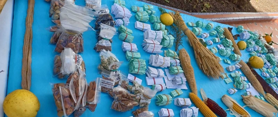 VII Encuentro La Simiente (2)