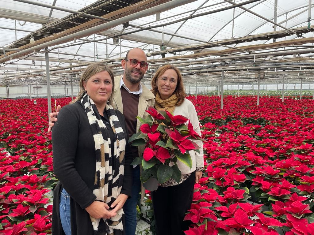 Visita Flores de Lebrija