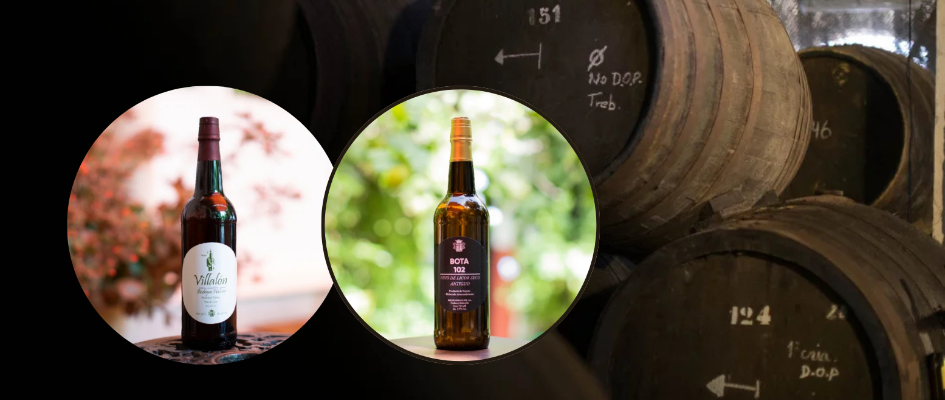 bodegashalcon PIC UP